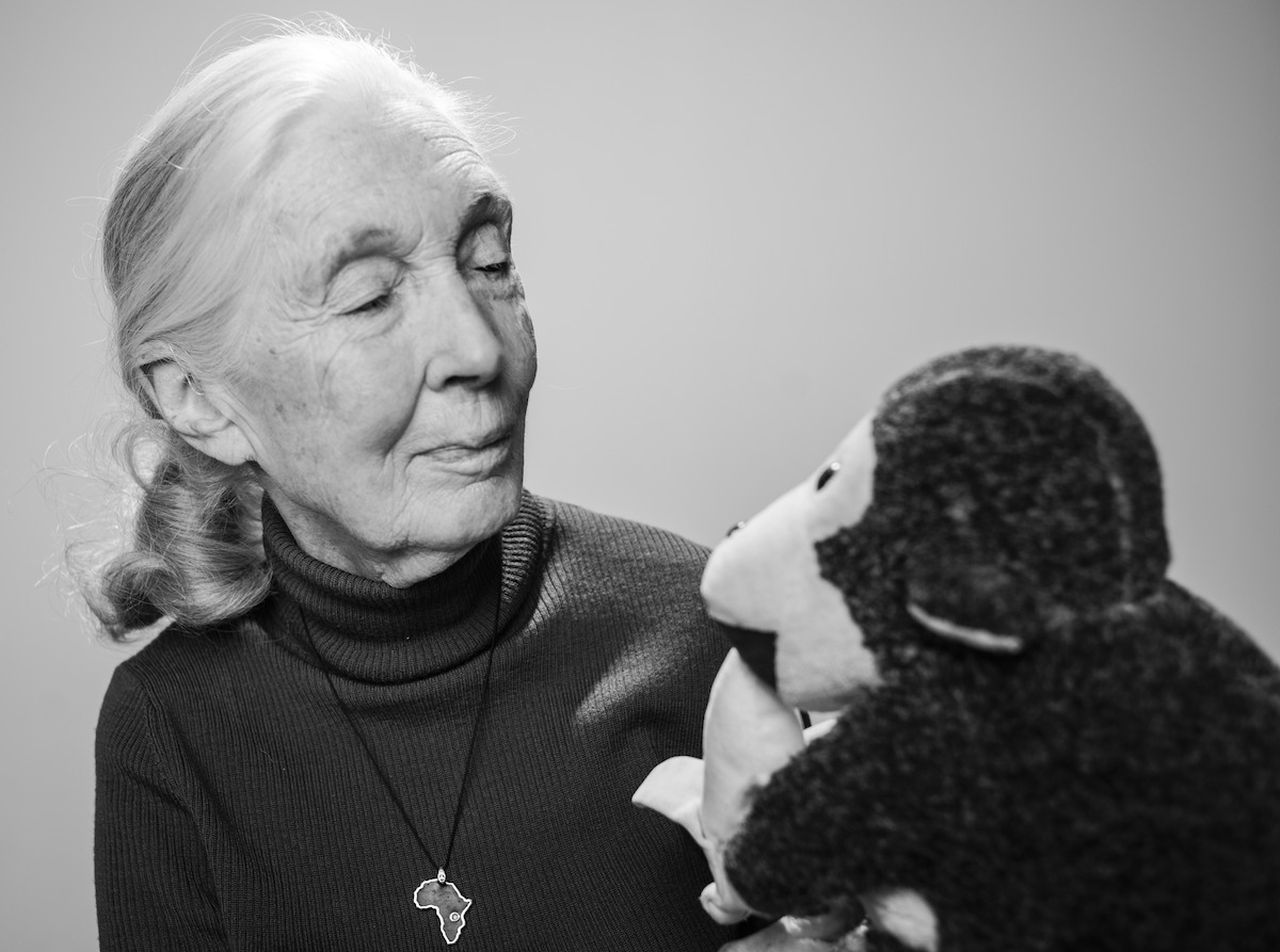 Jane Goodall